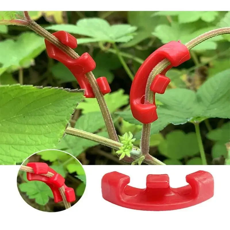 10-100個入り 90度植物曲げクリップ、LST低ストレス - Plant Parent Tools のレビューと価格
