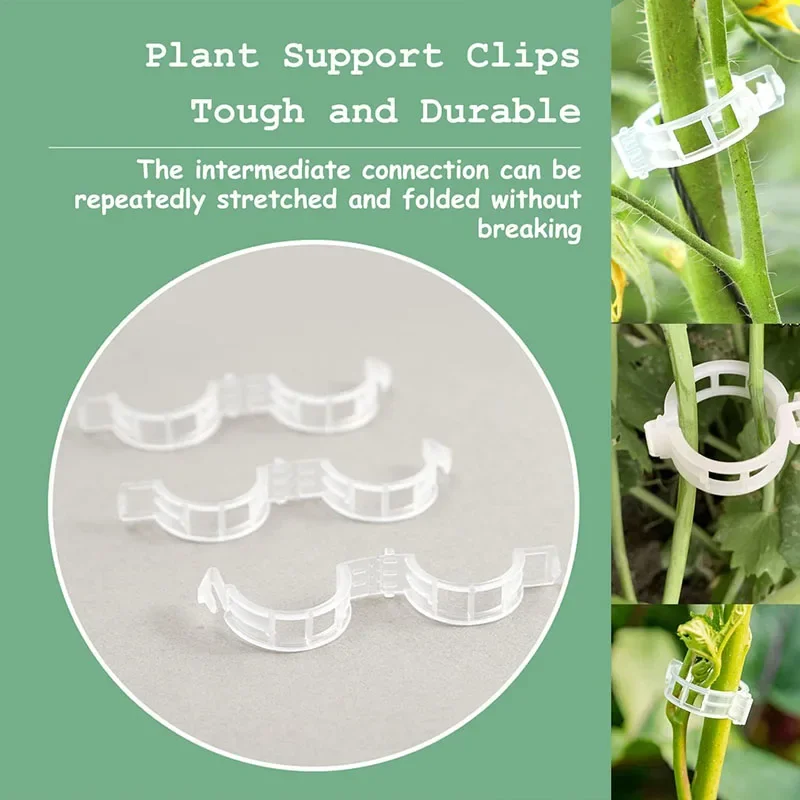 100 個植物固定クリップ再利用可能な植物野菜つる接続固定ツ - Plant Parent Tools のレビューと価格