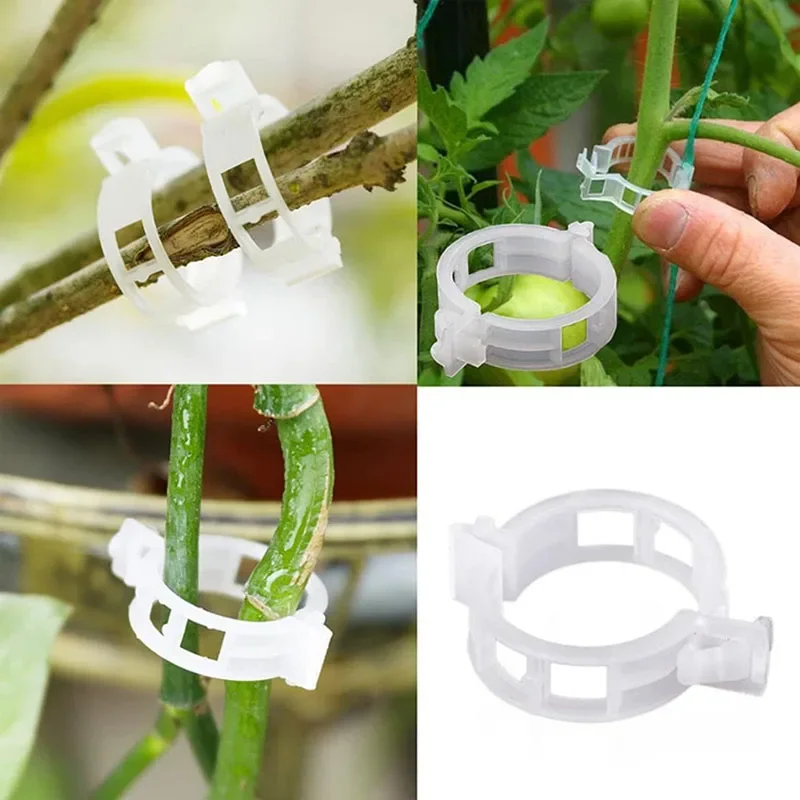 100 個植物固定クリップ再利用可能な植物野菜つる接続固定ツ - Plant Parent Tools のレビューと価格