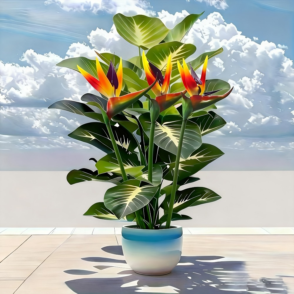 人工の極楽鳥花とポトスの植物、庭園、ショッピングセンター、ホ - Fiddle Leaf Fig のレビューと価格