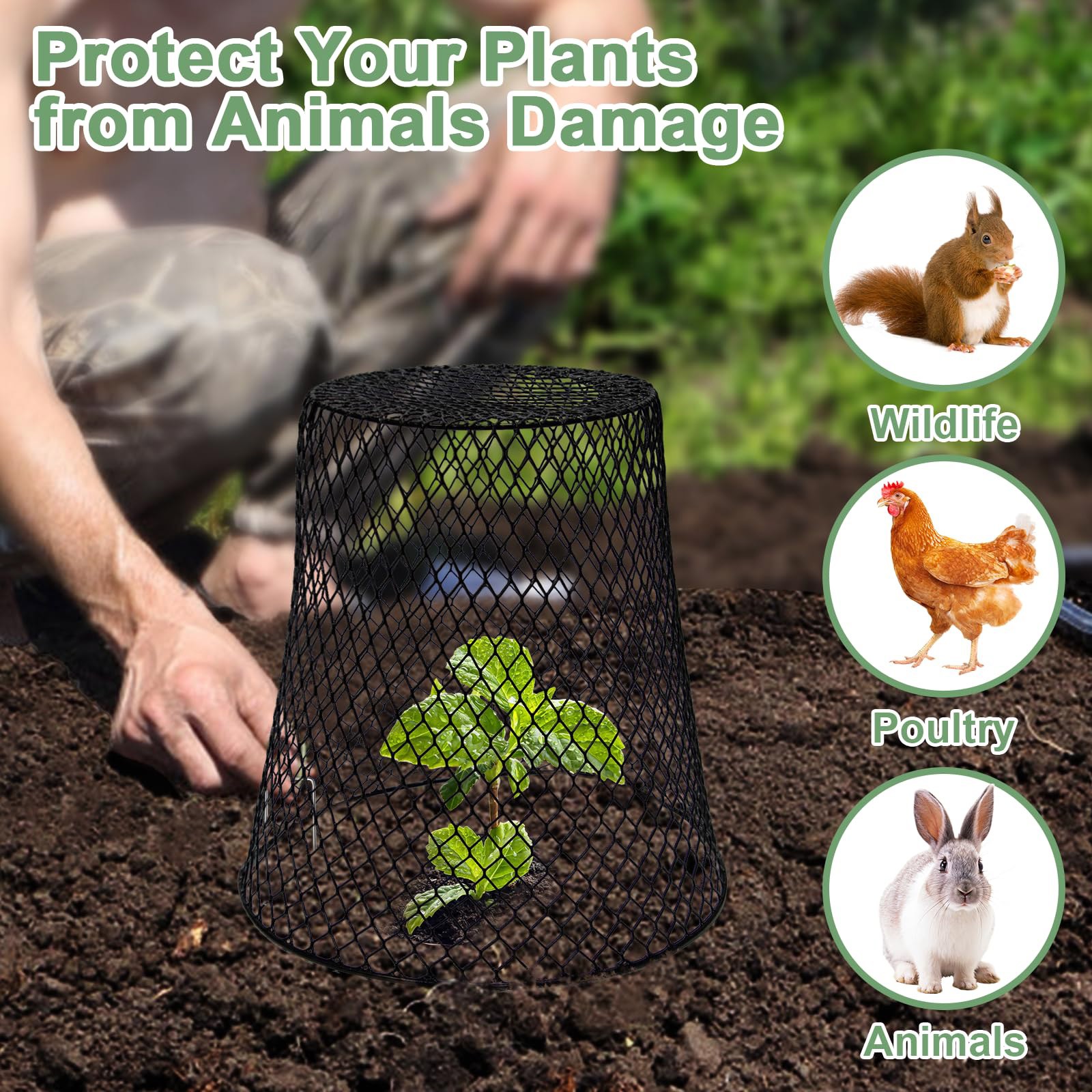 鶏小屋用金網クローシュ植物保護リング、野菜カバー、植物カタツ - Plant Parent Tools のレビューと価格