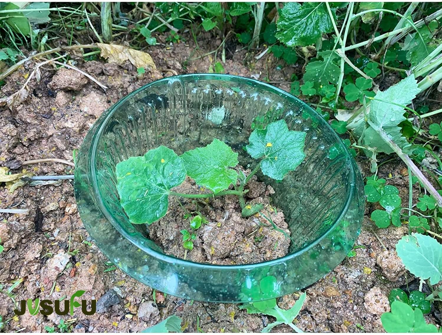 1/30個入り 植物保護リング グリーン プランター 植木鉢 - Plant Parent Tools のレビューと価格