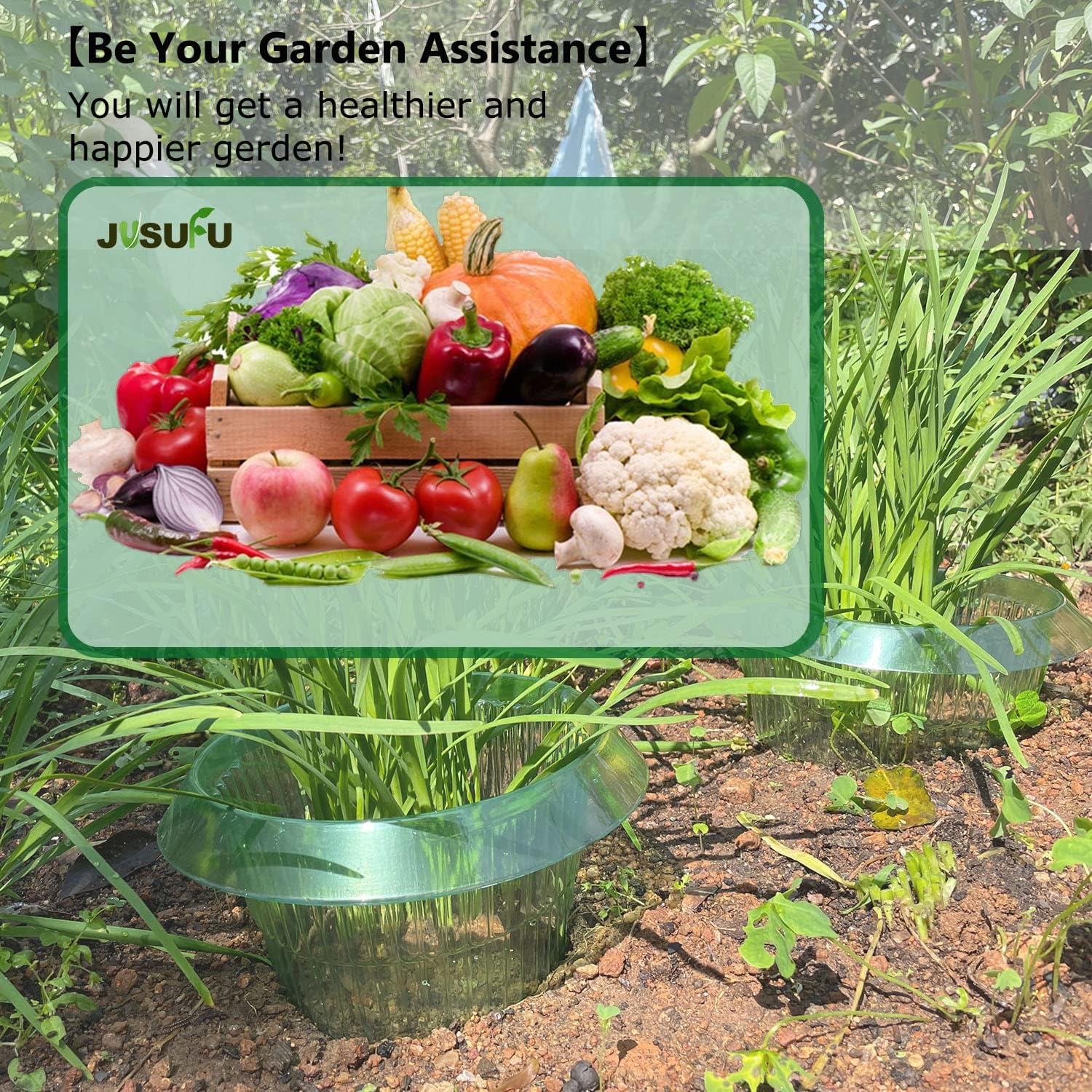 1/30個入り 植物保護リング グリーン プランター 植木鉢 - Plant Parent Tools のレビューと価格
