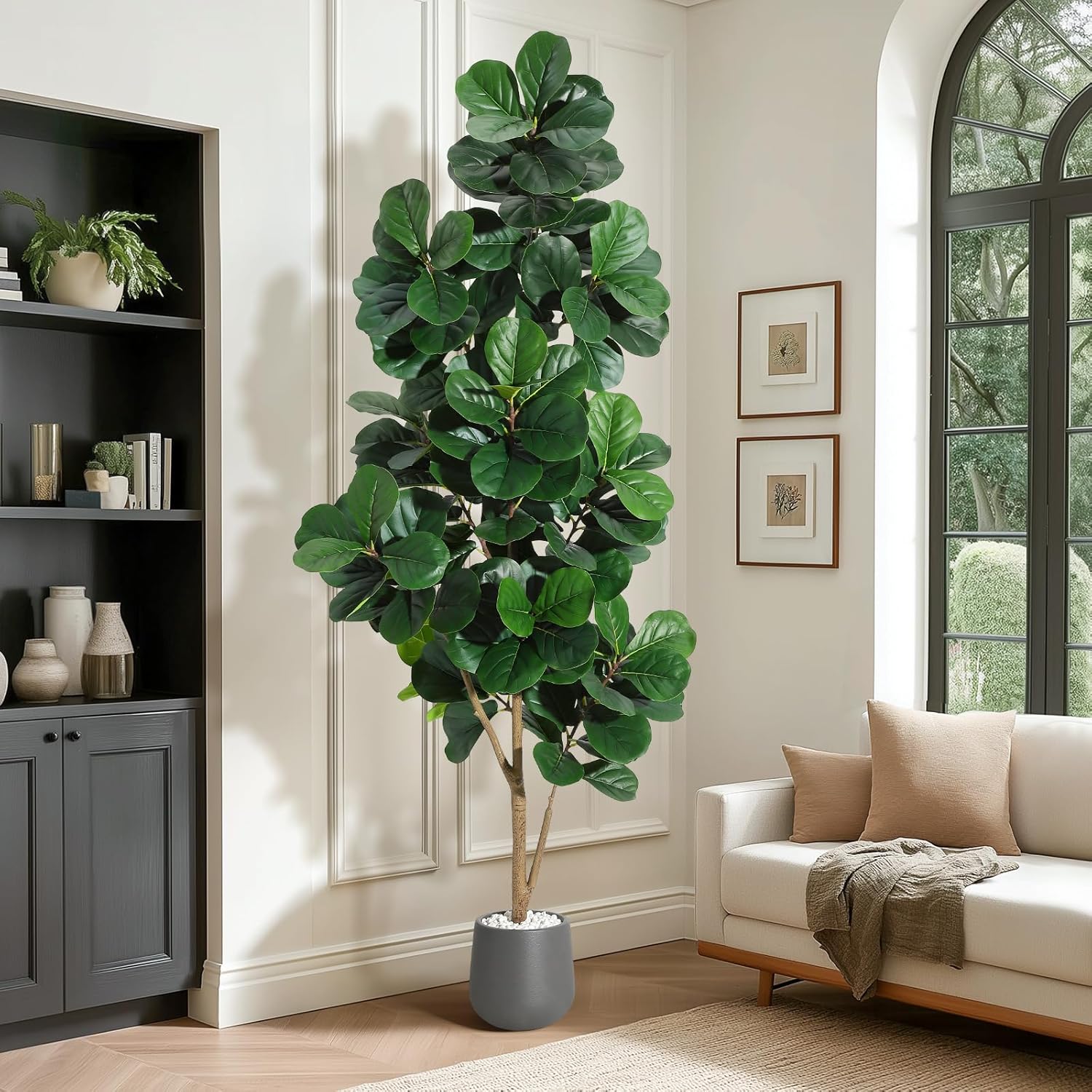 4FT/5FT/6FT/7FT フィドルリーフイチジクの木  - Fiddle Leaf Fig のレビューと価格