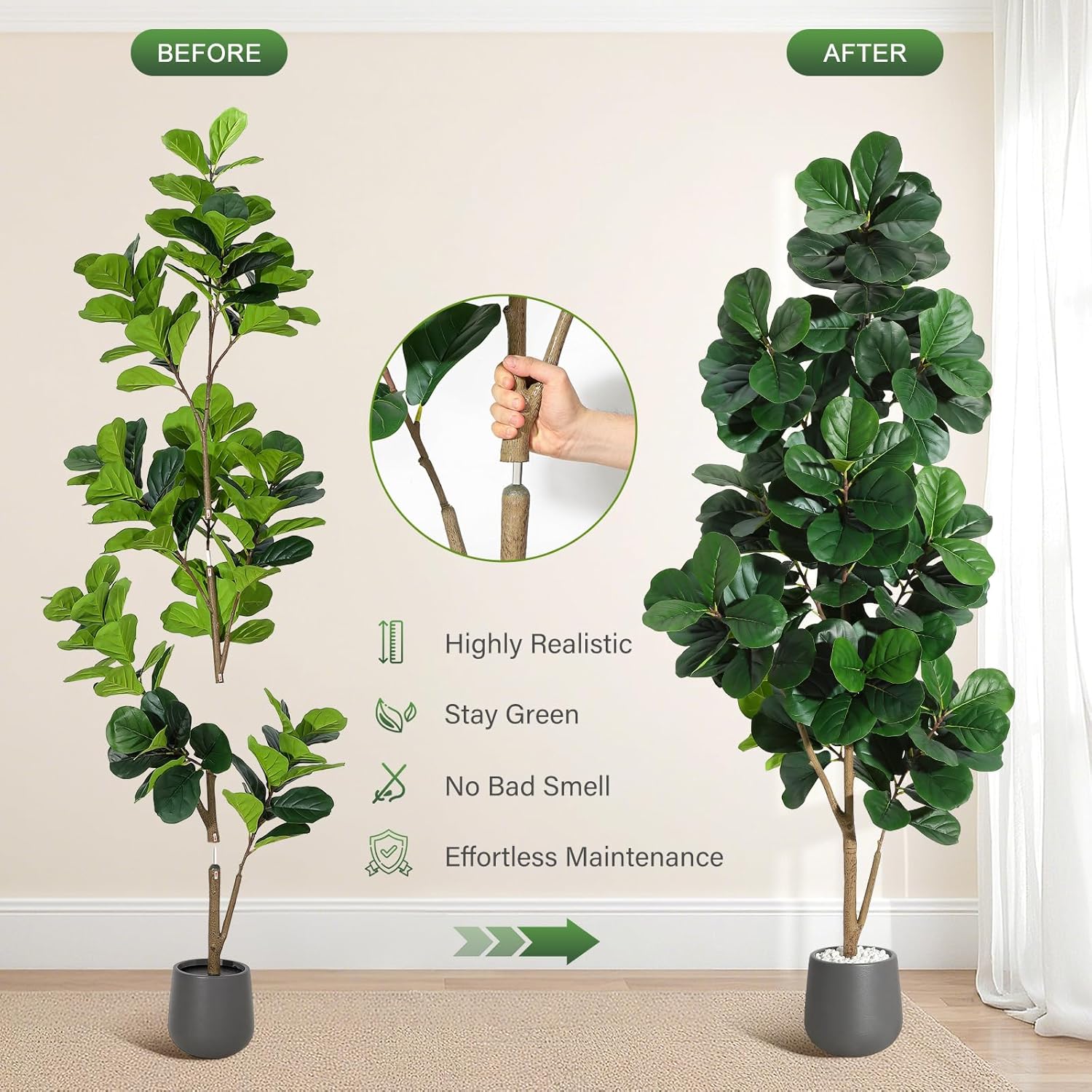 4FT/5FT/6FT/7FT フィドルリーフイチジクの木  - Fiddle Leaf Fig のレビューと価格