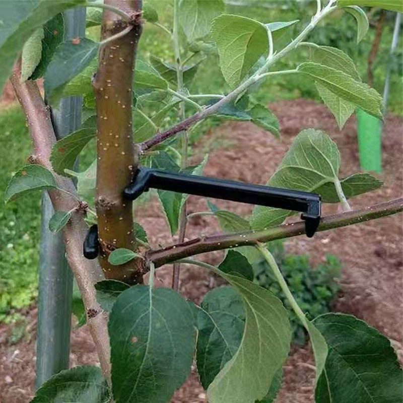 10-30 個果樹クリップ植物つるサポートツイストシェイパー - Plant Parent Tools のレビューと価格