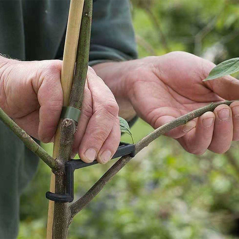 10-30 個果樹クリップ植物つるサポートツイストシェイパー - Plant Parent Tools のレビューと価格
