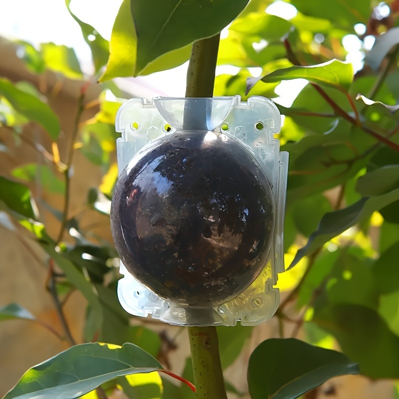 10個入り高圧植物発根繁殖ボックスキット、庭園用圧力ボール付 - Plant Parenting のレビューと価格